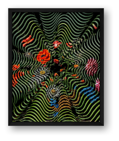 Venus — framed
