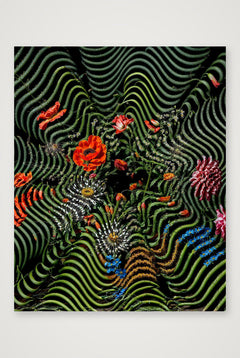 Venus — 28×35cm, 11×14" Print only