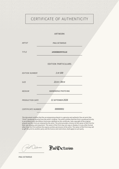 ANDERSONVILLE — Certificate of Authenticity