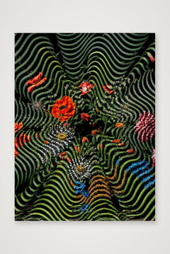Venus — 60×80cm, 24×31" Print only