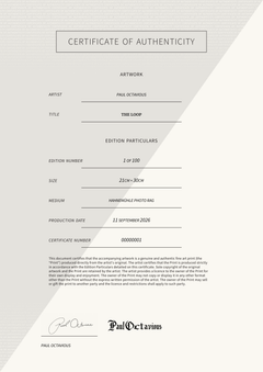 THE LOOP — Certificate of Authenticity
