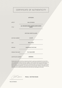 all the boys keep looking down down down  — Certificate of Authenticity