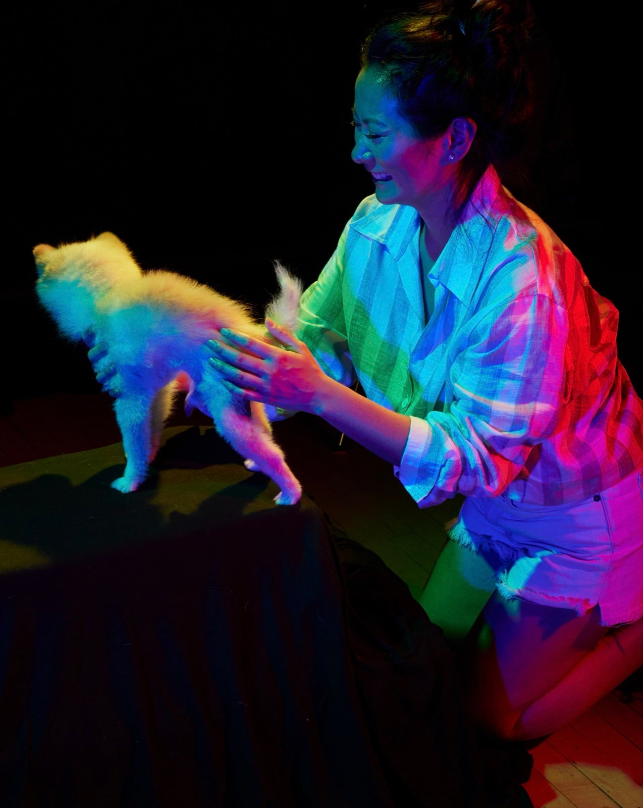 The same small white dog, settled on the platform under the coloured lights by the woman who brought her